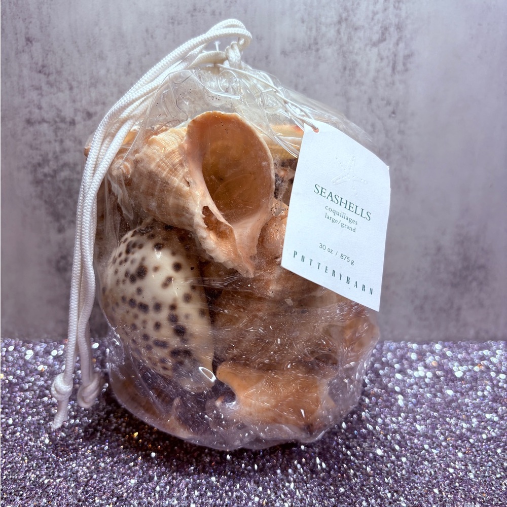 Pottery Barn Seashell Mix in Natural Tan and Cream